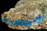 Vibrant Blue Chalcanthite - Mina Ojuela, Mexico #132651-1